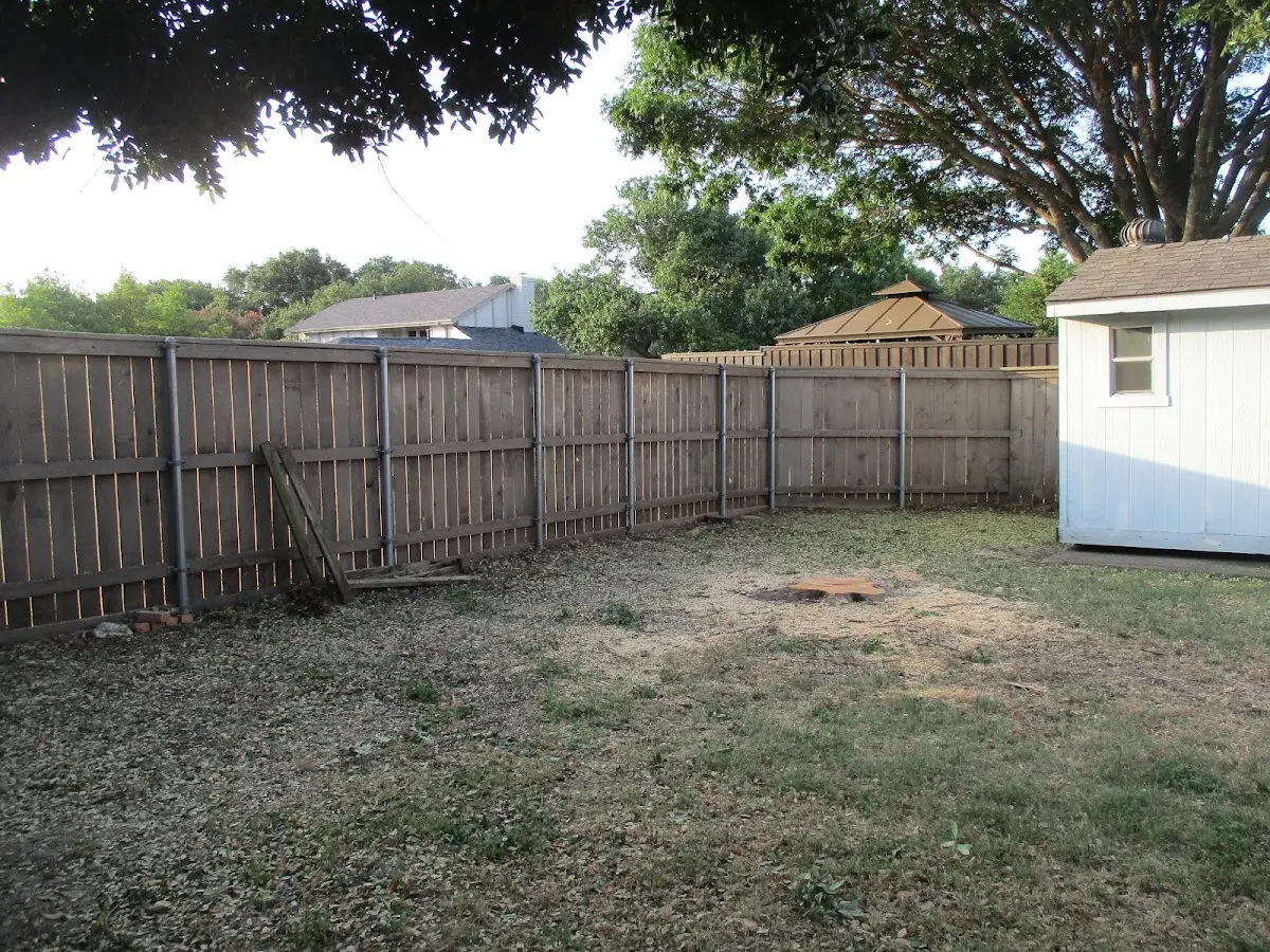Cleared yard after professional tree removal in Westbrook